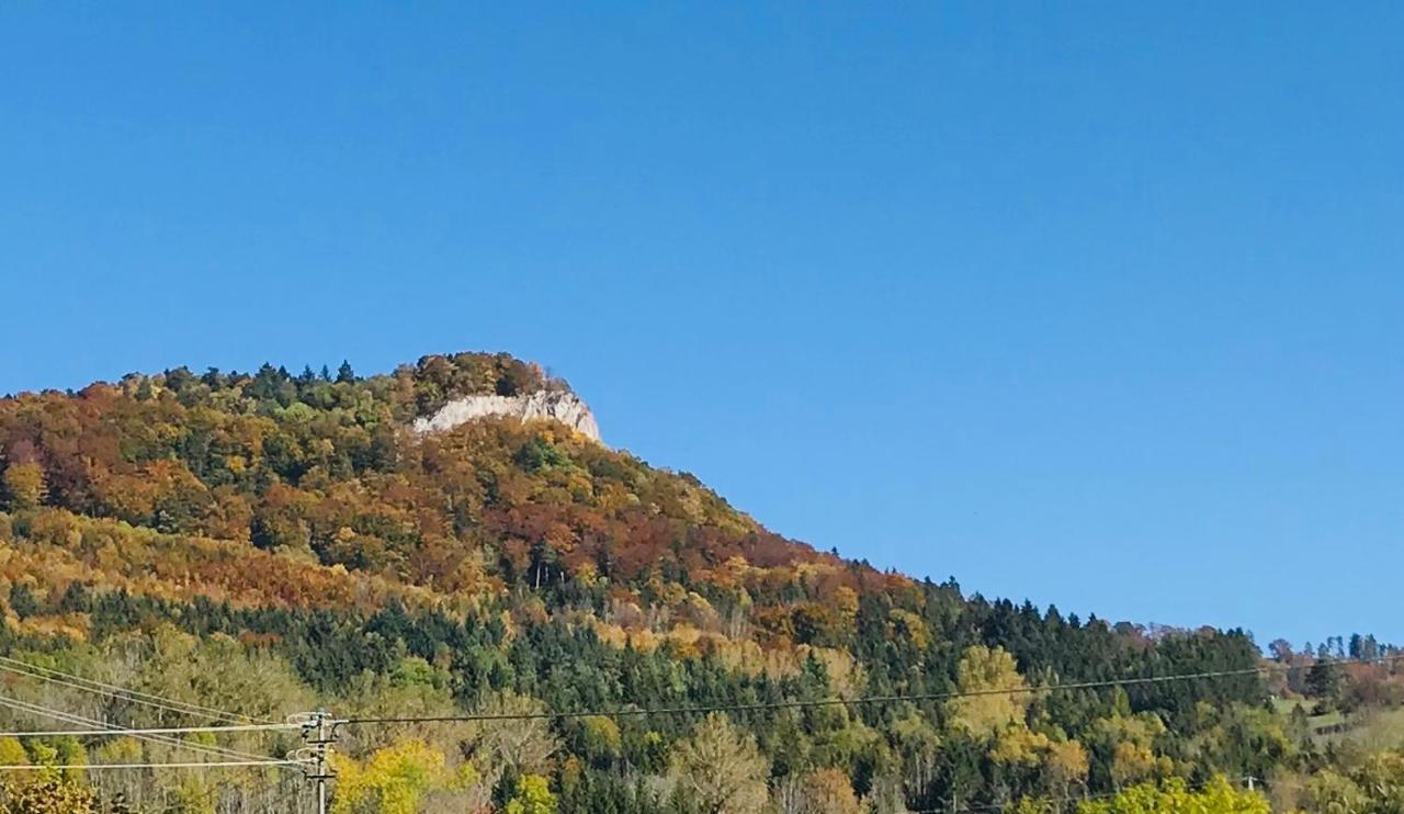 Ferienappartement Albstadt Kültér fotó